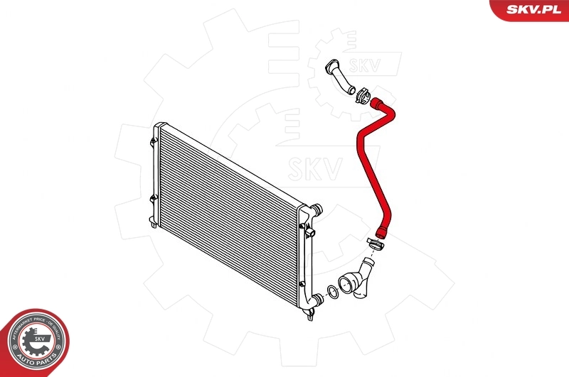 Radiator Hose